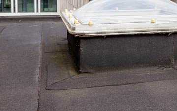 disadvantages of Carlbury flat roofs