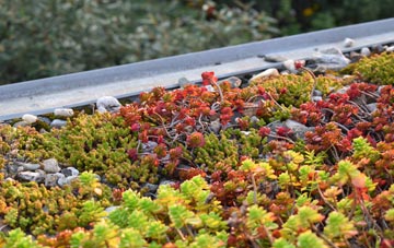 the cost of Carlbury green roof installation