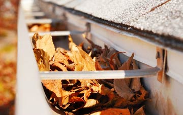 Carlbury gutter cleaning companies