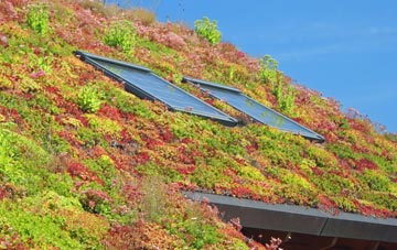 Carlbury living roof systems