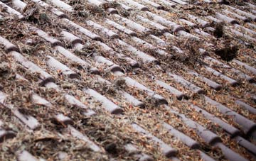 Carlbury roof cleaning companies