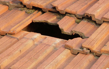 roof repair Carlbury, County Durham