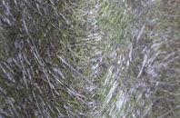 Carlbury fibreglass roof work