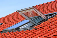 Carlbury roof window