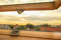 rated Carlbury roof window companies